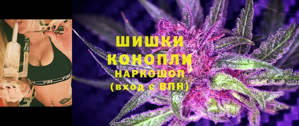 дмт Арсеньев