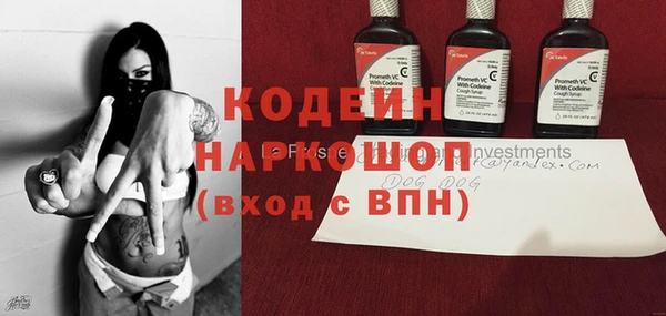 дмт Арсеньев