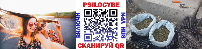 Псилоцибиновые грибы Cubensis  Купить закладки  Орёл 